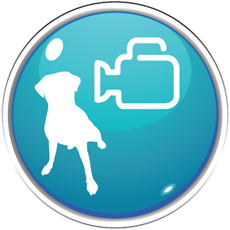 Camera Observation of Pets