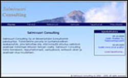 Salmivuori Consulting